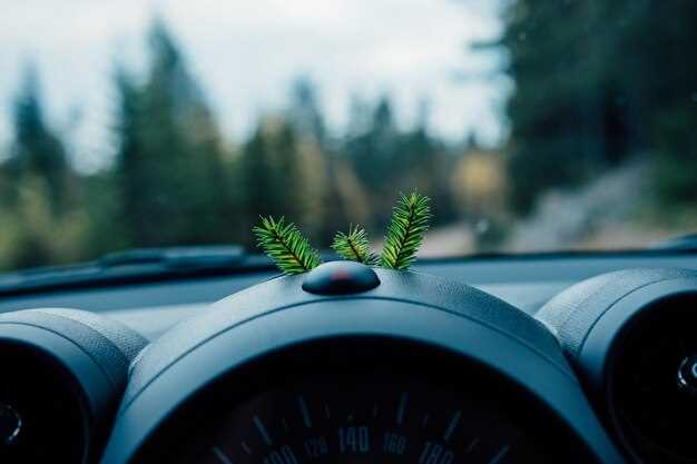 Negotiating the Best Deal at Dealerships During Key Times
