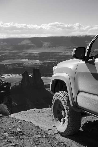 Choosing the Right Material for Durable Bumpers