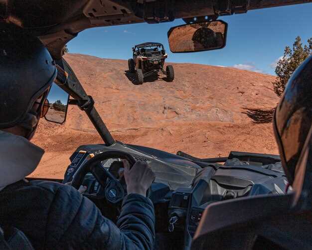 Strategies for Safe and Controlled Descent in Challenging Terrain