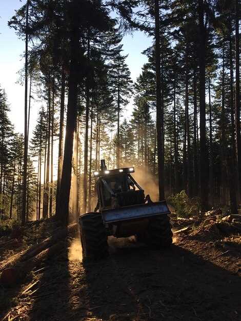 Selecting Off-Road Tires for Maximum Performance