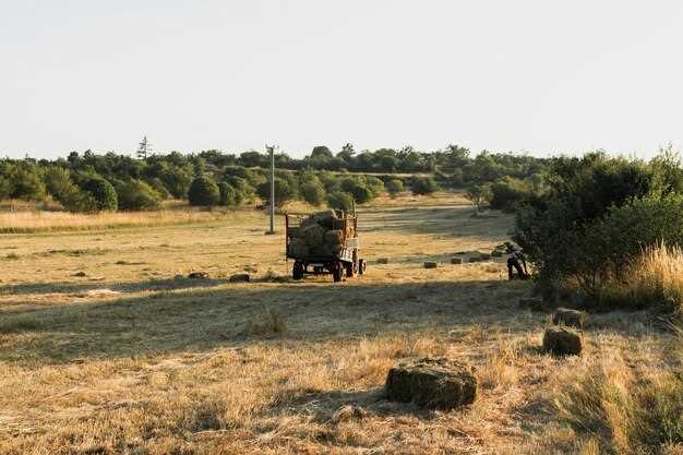 Legacy of the Willys Jeep in Post-War Automotive Innovation